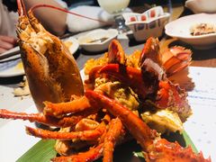 -森味薪火烧•烧鸟居酒屋•日本料理(望京店)