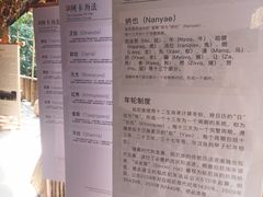 -西双版纳原始森林公园