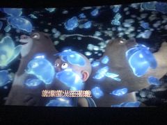 -SFC上影影城(北京大兴龙湖天街IMAX店)