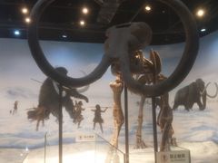 -辽宁古生物博物馆