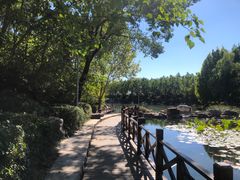 -云岗森林公园