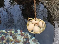 -广东温泉宾馆