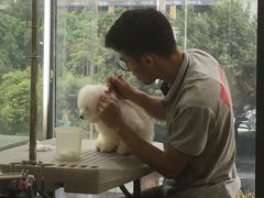 -帕帕拉兹宠物(亚洲旗舰店)