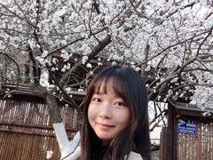 -秀丽东方