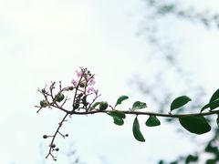 -杭州少年儿童公园