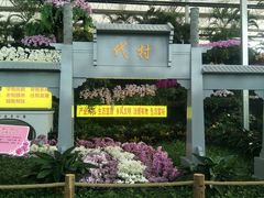 -兰陵国家农业公园