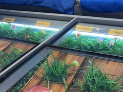 -非烤勿扰自助烤肉(合胜百货店)