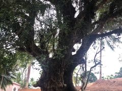 -蔡家宅
