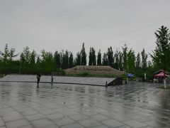 -永定河休闲森林公园