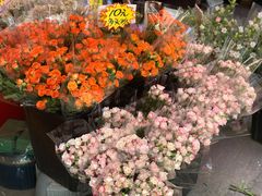 -循礼门鲜花花市(武汉循礼门店)