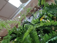 -迈德思客•汉堡•烤鸡(围墙巷店)