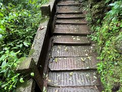 -青城山