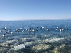-青海湖国家重点风景名胜区