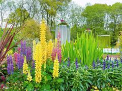 -上海共青森林公园