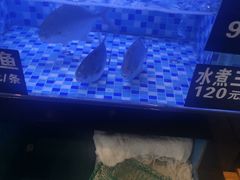 -莲花公园煎蟹(总店)