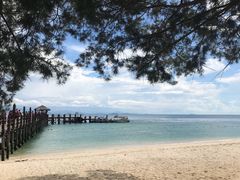 -东姑阿都拉曼海洋公园