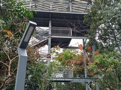 -佛山华盖山公园