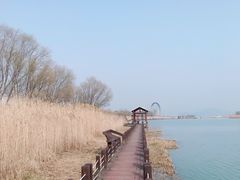 -太湖湖滨国家湿地公园-停车场