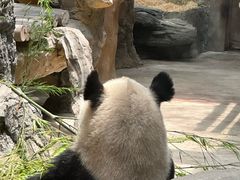 -常州淹城野生动物世界