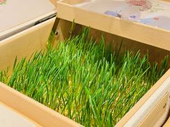-王府半岛酒店·大堂茶座