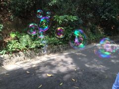 iphone_upload_pic-东部华侨城