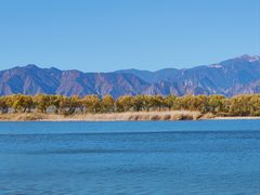 -野鸭湖国家湿地公园
