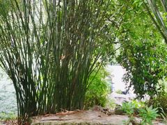 -龙头寺公园