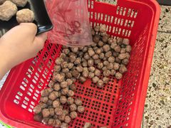 -老猫牛肉火锅(沙溪店)