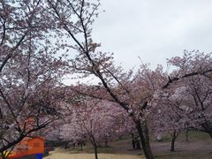 -苏州上方山国家森林公园