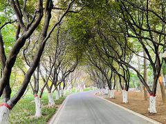 -石家庄市植物园
