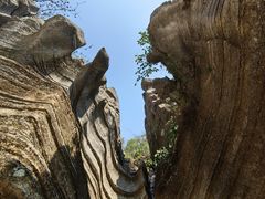 -梭布垭石林景区