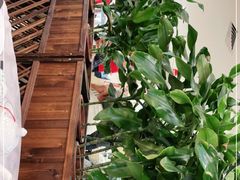 -荔枝楼酒家(员村东璟店)