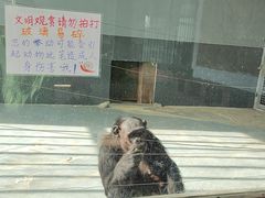 -无锡动物园·太湖欢乐园