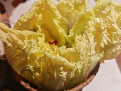 -芸山季·云南山珍菌火锅(人民广场来福士店)