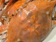 -北塘海鲜·天津菜(大光明桥旗舰店)