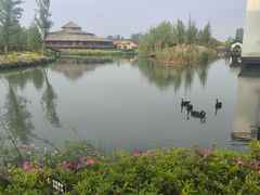 -乌村
