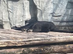 -石家庄市动物园