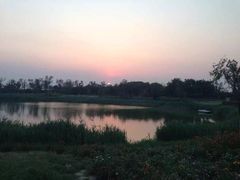 景区大，湖面广，虽然没什么景点，关键是门票免费，快乐也是免费送哒-官港森林公园