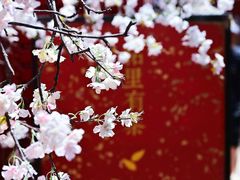 -潭柘寺景区
