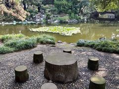 -叶家花园