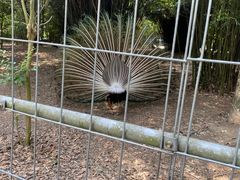 -宁波野生动物园