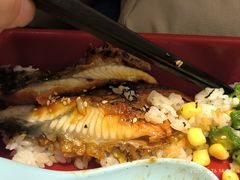 -元气寿司(东方宝泰店)