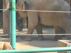 -麗枫酒店(广州番禺汉溪大石地铁站店)