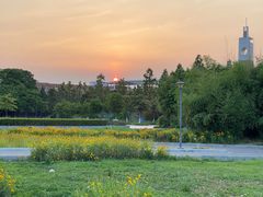 -南京外国语学校(仙林分校西区)