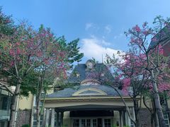 -中旅阿那亚九龙湖·公主酒店