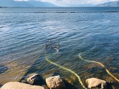 -阿鹏故事野生菌火锅(古城店)