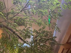 -九田家黑牛烤肉料理(珠江摩尔店)