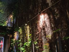 -院子餐厅·大锅菜·老杭帮(桥西直街店)