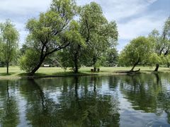 -上海共青森林公园