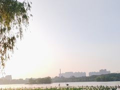 -济南大明湖景区